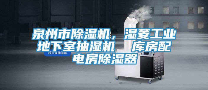 泉州市除濕機，濕菱工業(yè)地下室抽濕機  庫房配電房除濕器