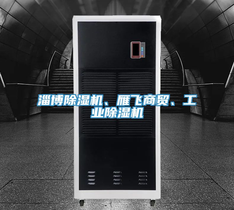 淄博除濕機(jī)、雁飛商貿(mào)、工業(yè)除濕機(jī)