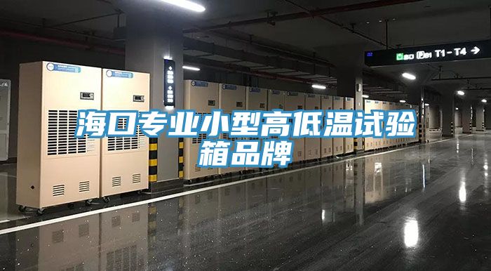 ?？趯I(yè)小型高低溫試驗(yàn)箱品牌