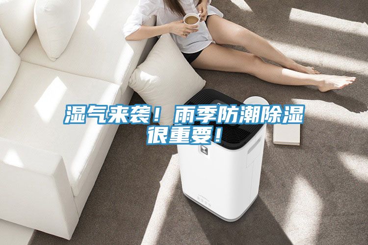 濕氣來襲！雨季防潮除濕很重要！