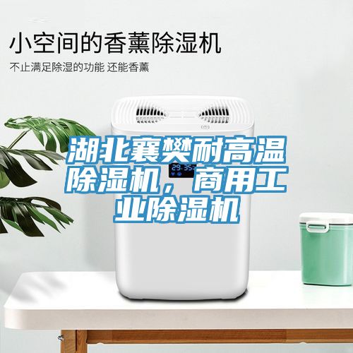 湖北襄樊耐高溫除濕機(jī)，商用工業(yè)除濕機(jī)