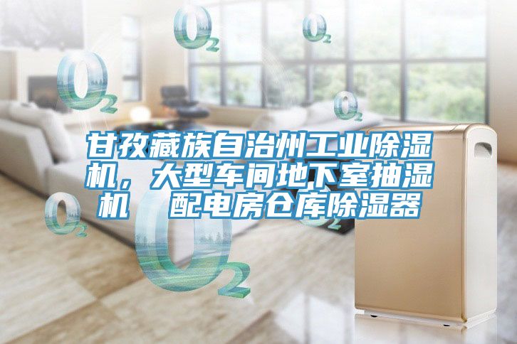 甘孜藏族自治州工業(yè)除濕機(jī)，大型車間地下室抽濕機(jī)  配電房倉庫除濕器
