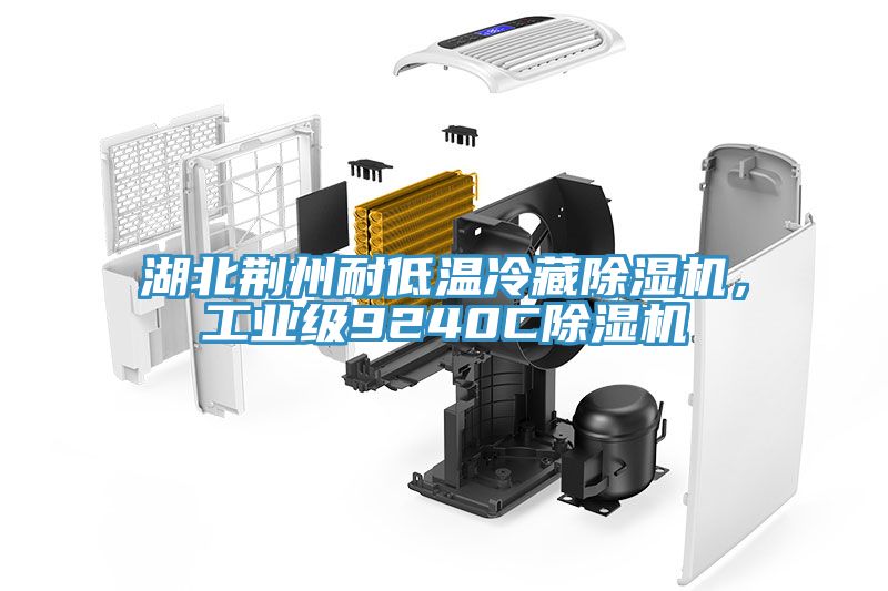 湖北荊州耐低溫冷藏除濕機(jī)，工業(yè)級(jí)9240C除濕機(jī)