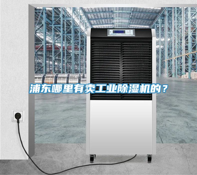 浦東哪里有賣工業(yè)除濕機(jī)的？
