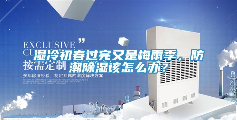 濕冷初春過完又是梅雨季，防潮除濕該怎么辦？