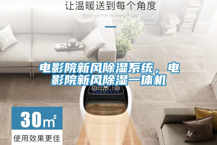 電影院新風(fēng)除濕系統(tǒng)，電影院新風(fēng)除濕一體機