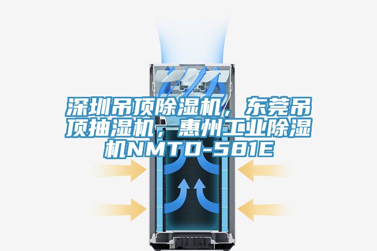 深圳吊頂除濕機(jī)，東莞吊頂抽濕機(jī)，惠州工業(yè)除濕機(jī)NMTD-581E