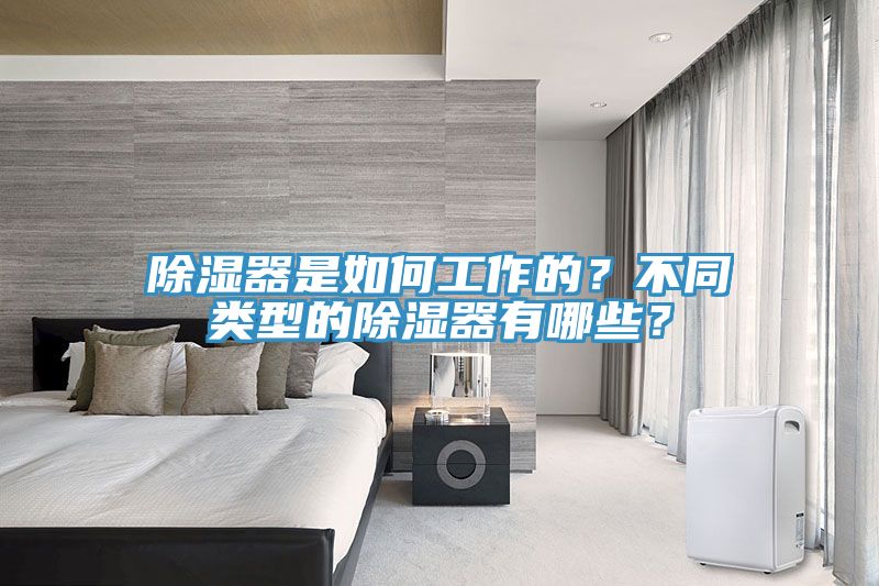 除濕器是如何工作的？不同類型的除濕器有哪些？