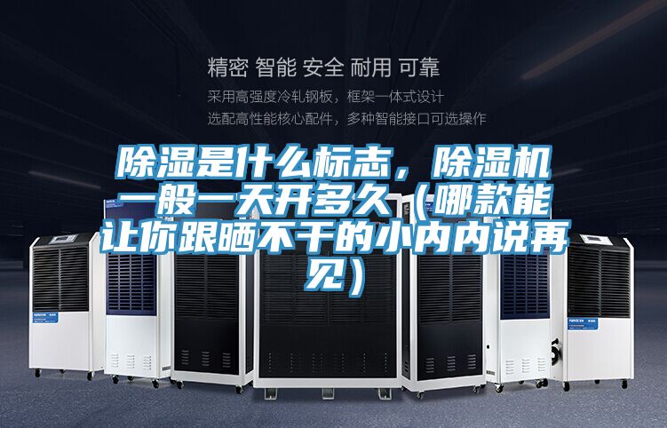 除濕是什么標(biāo)志，除濕機(jī)一般一天開(kāi)多久（哪款能讓你跟曬不干的小內(nèi)內(nèi)說(shuō)再見(jiàn)）