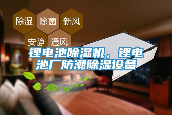 鋰電池除濕機(jī)，鋰電池廠防潮除濕設(shè)備