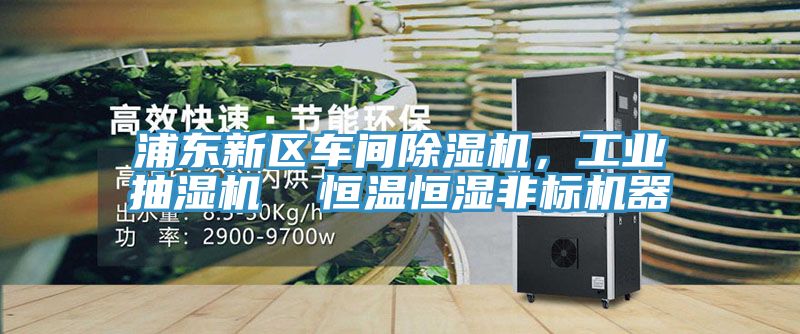 浦東新區(qū)車間除濕機(jī)，工業(yè)抽濕機(jī)  恒溫恒濕非標(biāo)機(jī)器