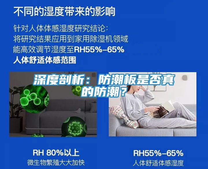 深度剖析：防潮板是否真的防潮？