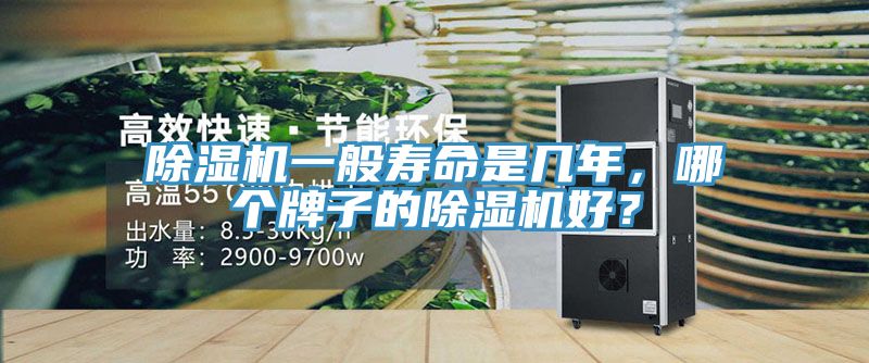 除濕機一般壽命是幾年，哪個牌子的除濕機好？