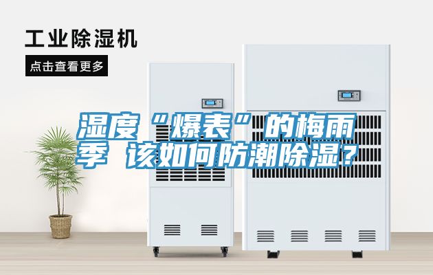 濕度“爆表”的梅雨季 該如何防潮除濕？