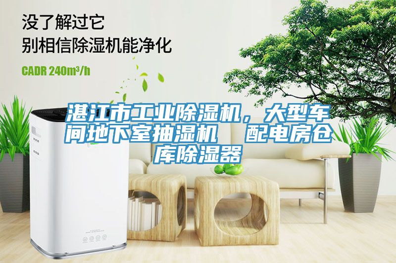 湛江市工業(yè)除濕機(jī)，大型車間地下室抽濕機(jī)  配電房倉庫除濕器