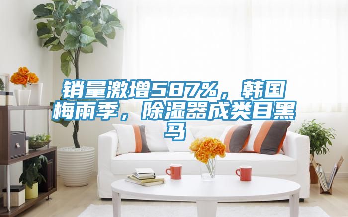 銷量激增587%，韓國(guó)梅雨季，除濕器成類目黑馬