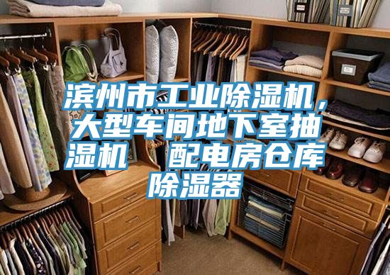 濱州市工業(yè)除濕機，大型車間地下室抽濕機  配電房倉庫除濕器