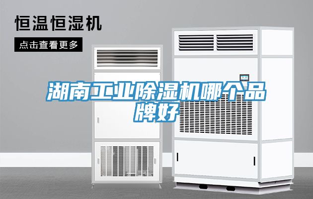 湖南工業(yè)除濕機(jī)哪個品牌好