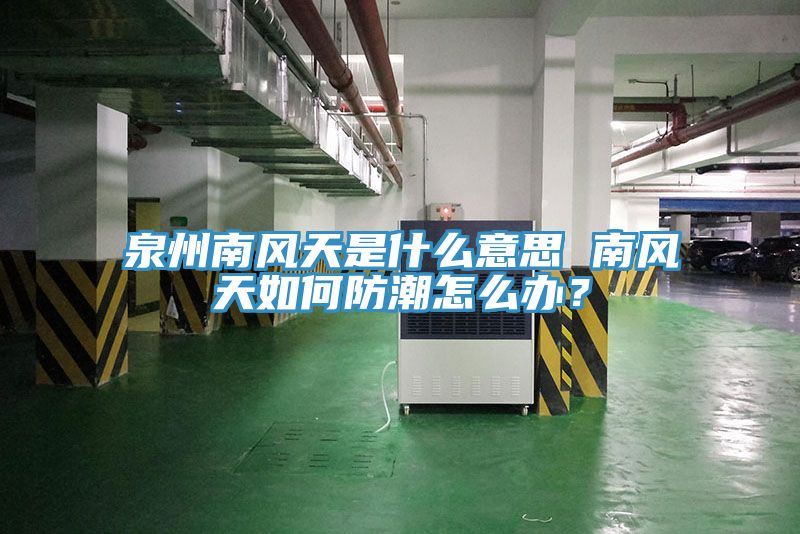 泉州南風(fēng)天是什么意思 南風(fēng)天如何防潮怎么辦？