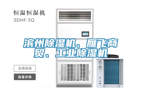濱州除濕機、雁飛商貿(mào)、工業(yè)除濕機