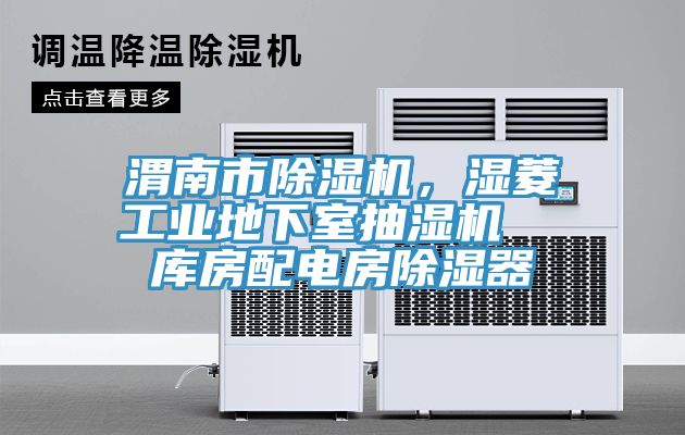 渭南市除濕機(jī)，濕菱工業(yè)地下室抽濕機(jī)  庫房配電房除濕器