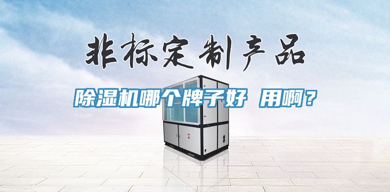 除濕機(jī)哪個(gè)牌子好 用??？