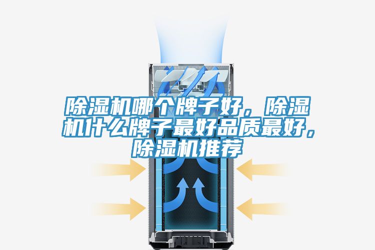 除濕機(jī)哪個(gè)牌子好，除濕機(jī)什么牌子最好品質(zhì)最好，除濕機(jī)推薦