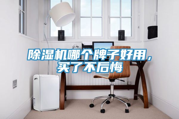 除濕機(jī)哪個(gè)牌子好用，買了不后悔