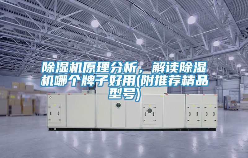 除濕機(jī)原理分析，解讀除濕機(jī)哪個(gè)牌子好用(附推薦精品型號(hào))