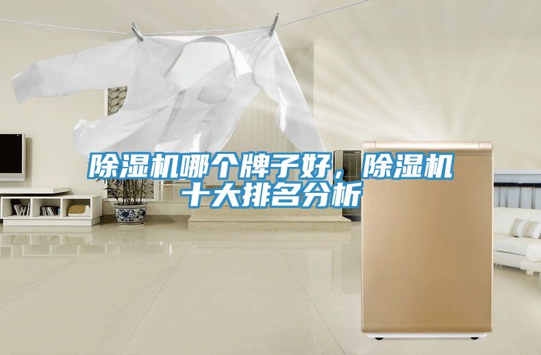 除濕機(jī)哪個(gè)牌子好，除濕機(jī)十大排名分析