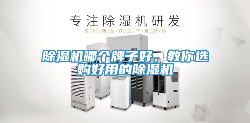 除濕機(jī)哪個(gè)牌子好，教你選購(gòu)好用的除濕機(jī)