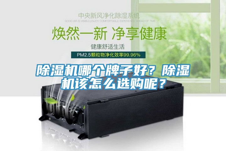 除濕機(jī)哪個牌子好？除濕機(jī)該怎么選購呢？