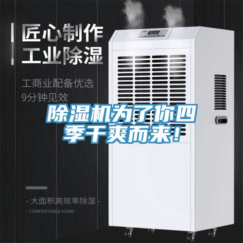 除濕機為了你四季干爽而來！