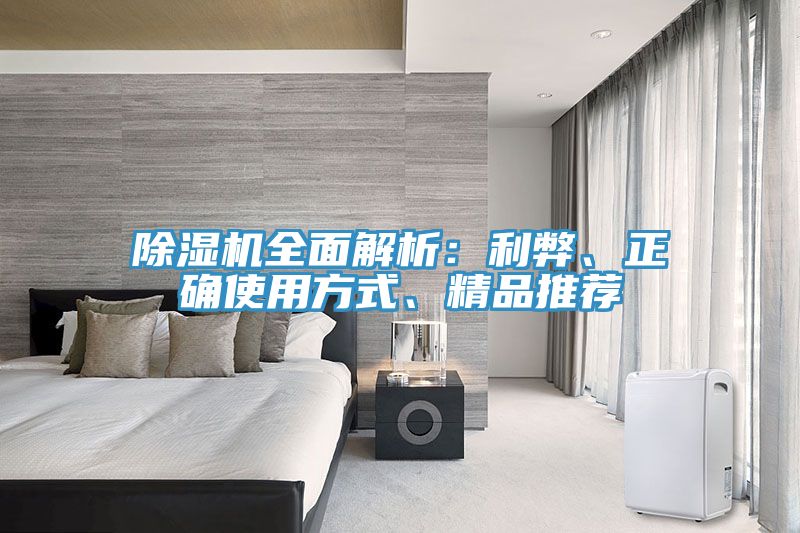 除濕機(jī)全面解析：利弊、正確使用方式、精品推薦