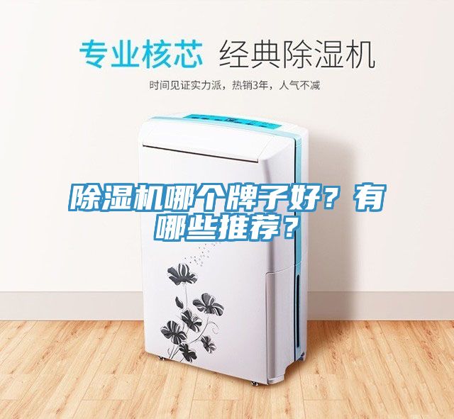 除濕機(jī)哪個牌子好？有哪些推薦？