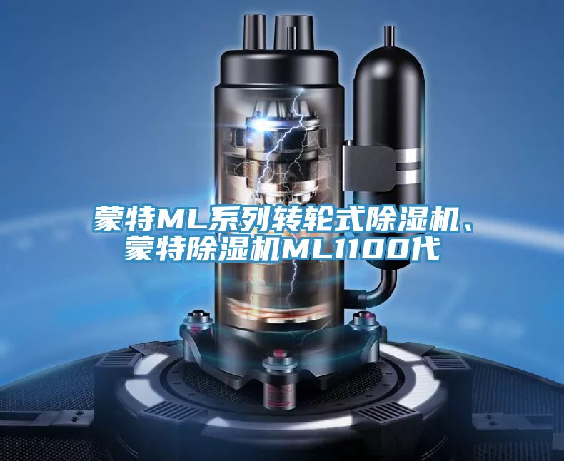 蒙特ML系列轉(zhuǎn)輪式除濕機(jī)、蒙特除濕機(jī)ML1100代