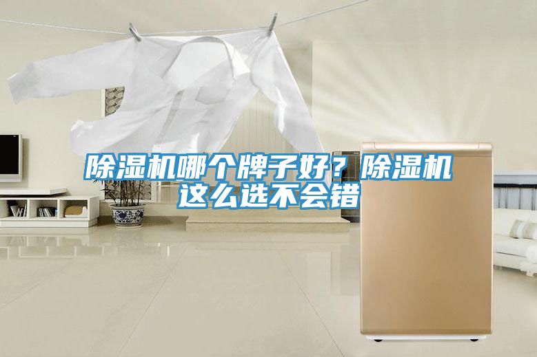 除濕機(jī)哪個牌子好？除濕機(jī)這么選不會錯