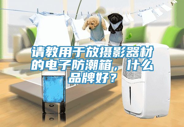 請(qǐng)教用于放攝影器材的電子防潮箱，什么品牌好？