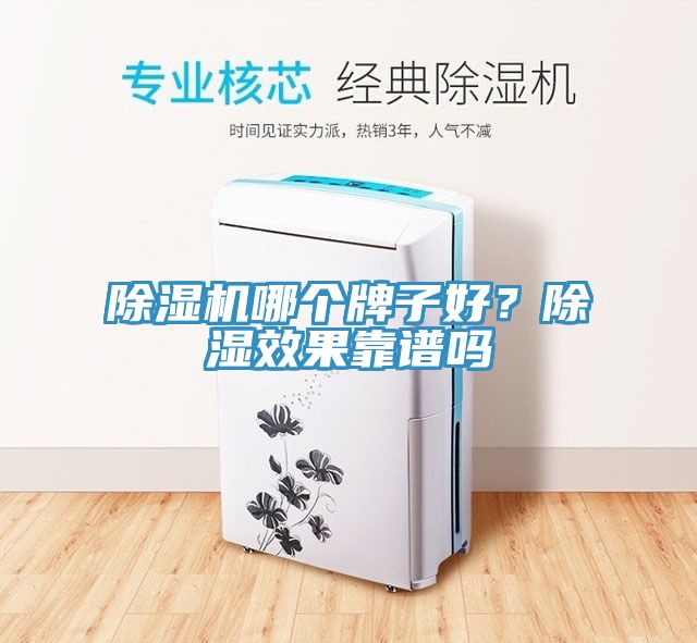 除濕機(jī)哪個牌子好？除濕效果靠譜嗎