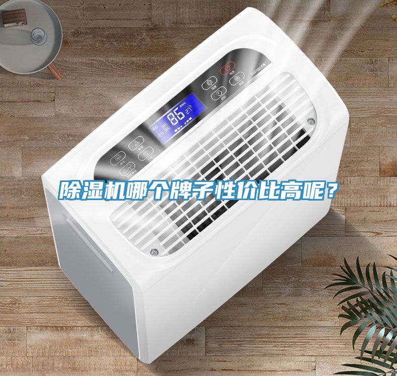 除濕機(jī)哪個牌子性價比高呢？