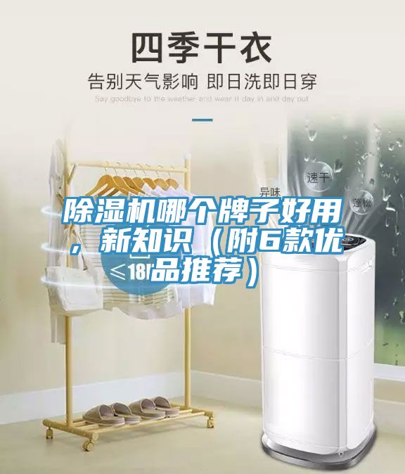 除濕機(jī)哪個(gè)牌子好用，新知識(shí)（附6款優(yōu)品推薦）