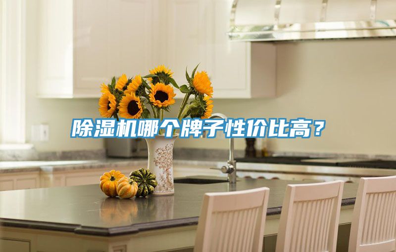 除濕機(jī)哪個牌子性價比高？