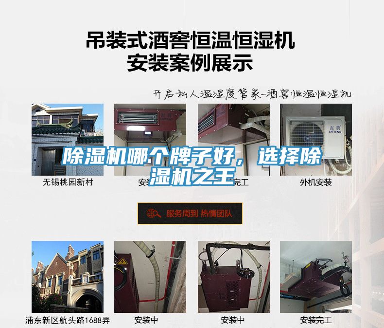 除濕機(jī)哪個(gè)牌子好，選擇除濕機(jī)之王