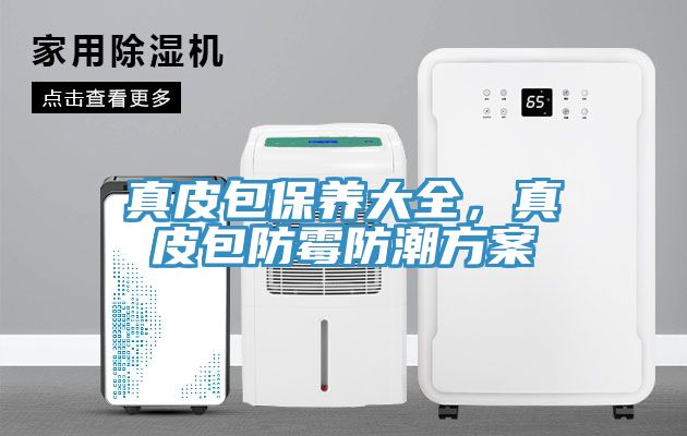 真皮包保養(yǎng)大全，真皮包防霉防潮方案