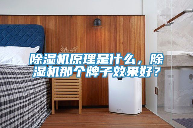 除濕機(jī)原理是什么，除濕機(jī)那個(gè)牌子效果好？