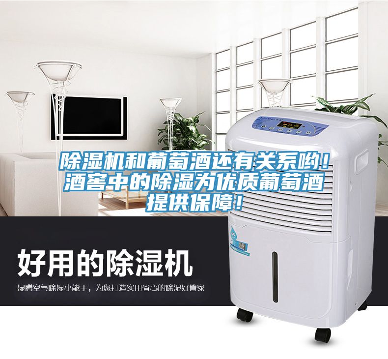 除濕機(jī)和葡萄酒還有關(guān)系喲！酒窖中的除濕為優(yōu)質(zhì)葡萄酒提供保障！