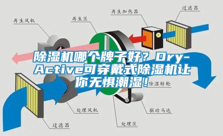 除濕機(jī)哪個牌子好？Dry-Active可穿戴式除濕機(jī)讓你無懼潮濕！
