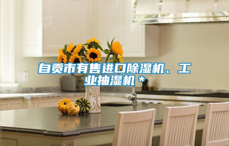 自貢市有售進(jìn)口除濕機(jī)、工業(yè)抽濕機(jī)＊