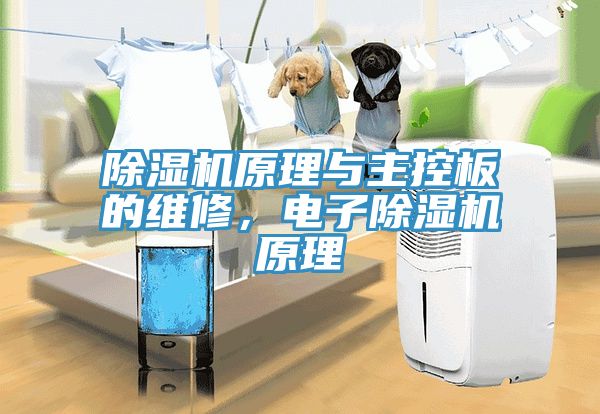 除濕機(jī)原理與主控板的維修，電子除濕機(jī)原理