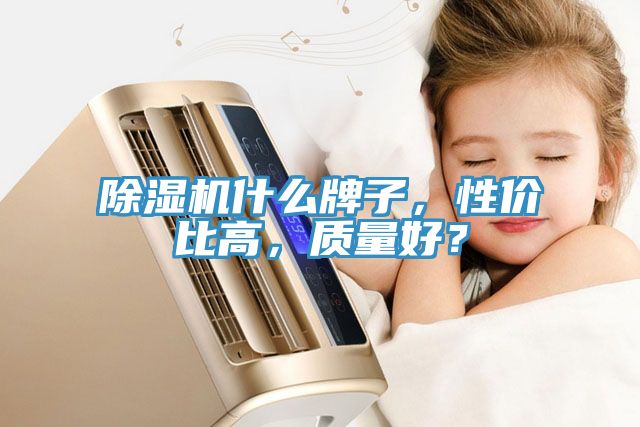 除濕機(jī)什么牌子，性價(jià)比高，質(zhì)量好？